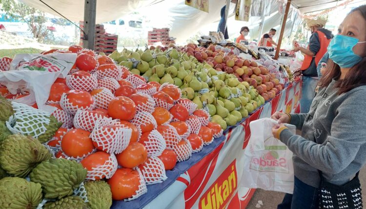 Sacolao Saude estara vendendo frutas a precos mais acessiveis